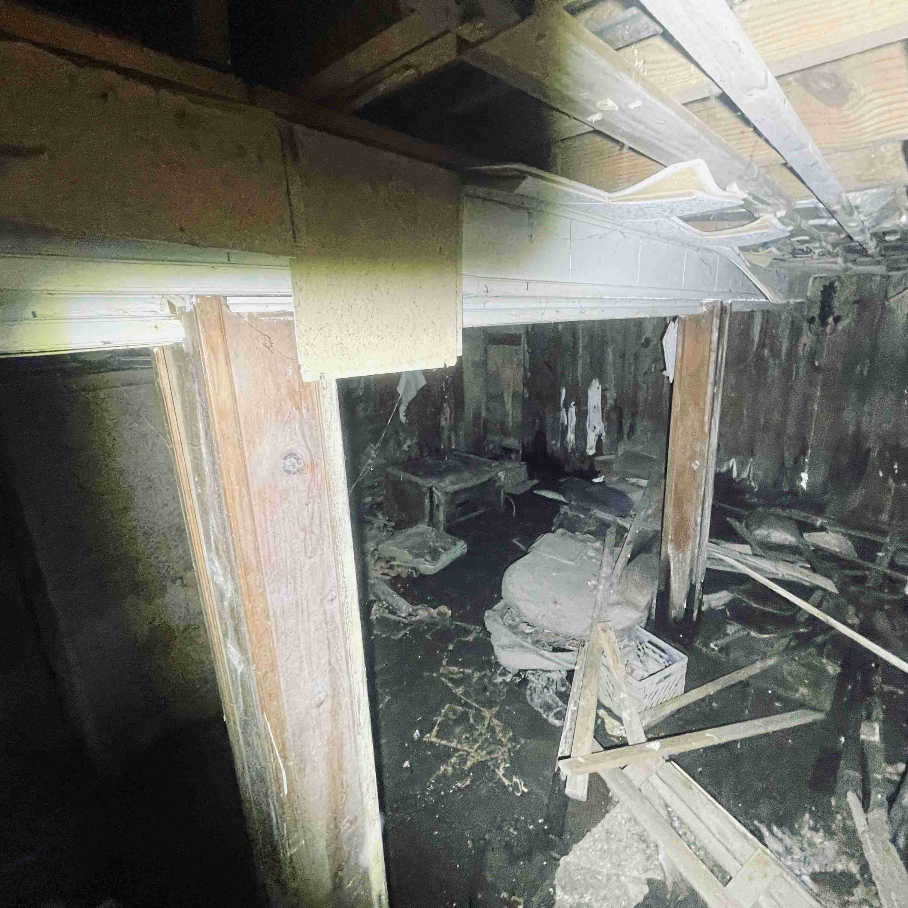 4277 TUXEDO (62).jpg